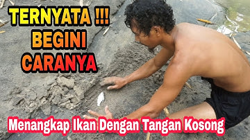 TERNYATA BEGINI CARANYA MENANGKAP IKAN DENGAN TANGAN KOSONG TIPS SI TANGAN DEWA