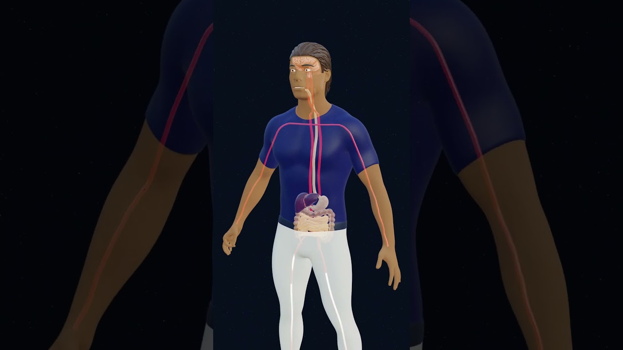 🍲🤢 How Street Food Causes Food Poisoning | Explained in 3D!