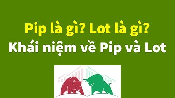 Forex | Pip là gì? Lot Là gì? Khái niệm về Pip và Lot trong Forex | Đầu Tư Forex