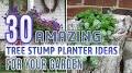 cheap container gardening ideas from www.youtube.com