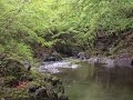 【トリマトリ。】【渓流で一泊したきた】【オープンタープ泊】 【キャンプ】 【bushcraft ブッシュクラフト】