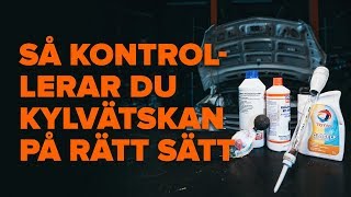 Byta Glykol på RENAULT MASTER - underhållsråd