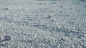 DA JARRA...! - Madness [clip version] HD