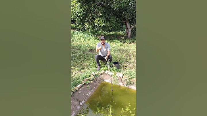 Went Fishing at LAGO da Mata and the Worst Happened 😱🎣#humordodia #humorado #comedy #joke #humora...