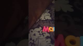 Mario Kids Logo Bloopers