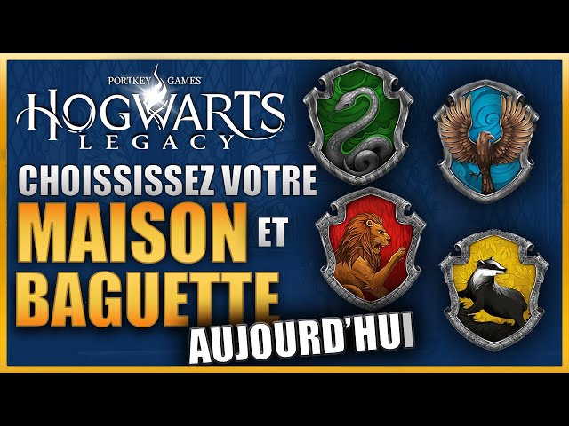 Pottermore Test Maison Officiel | Ventana Blog