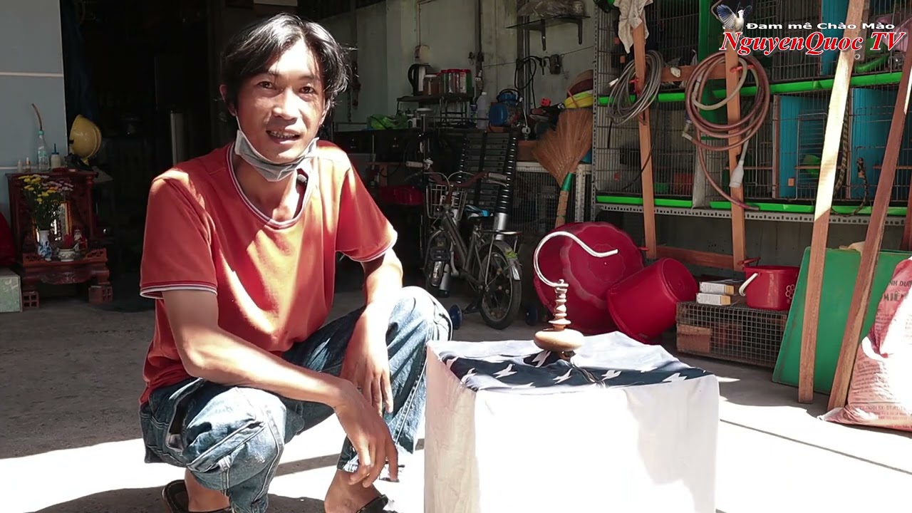 Mùa dịch Covid vô tình mua được con xòe cứng đang tuột 