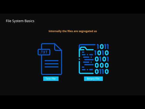 File System Basics Class 11