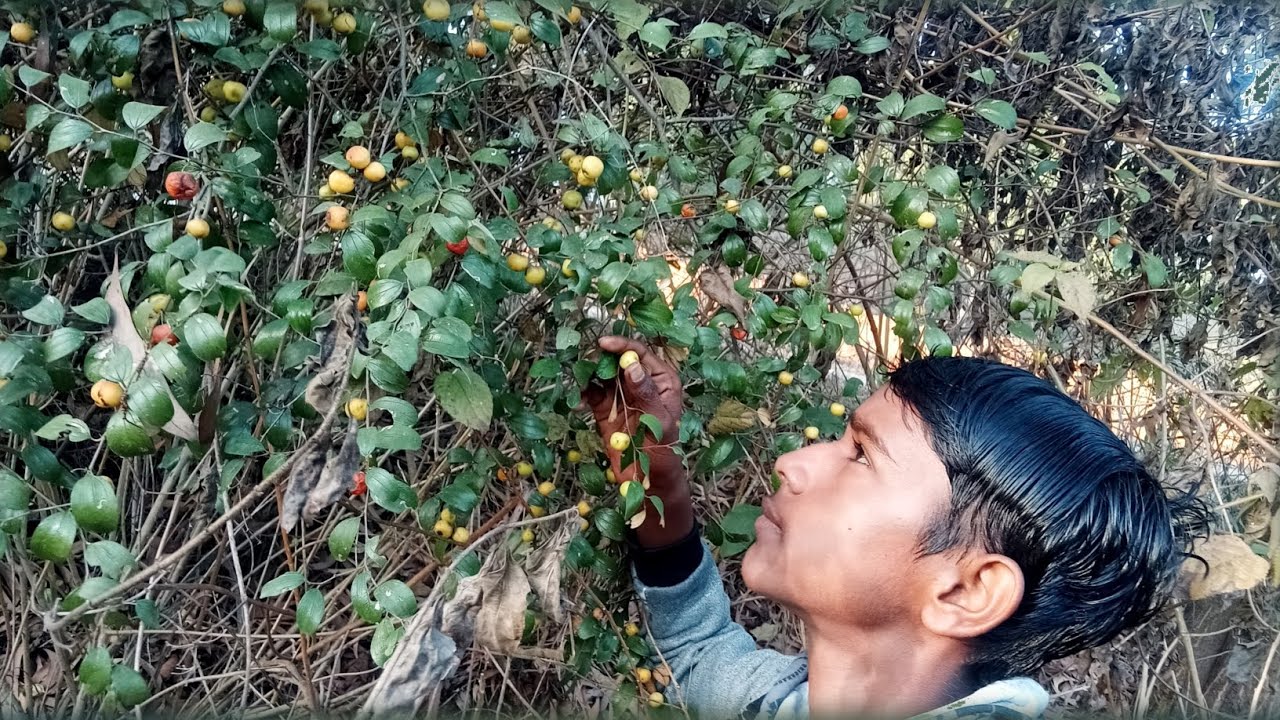 Itne sare Chhote ber 🥰