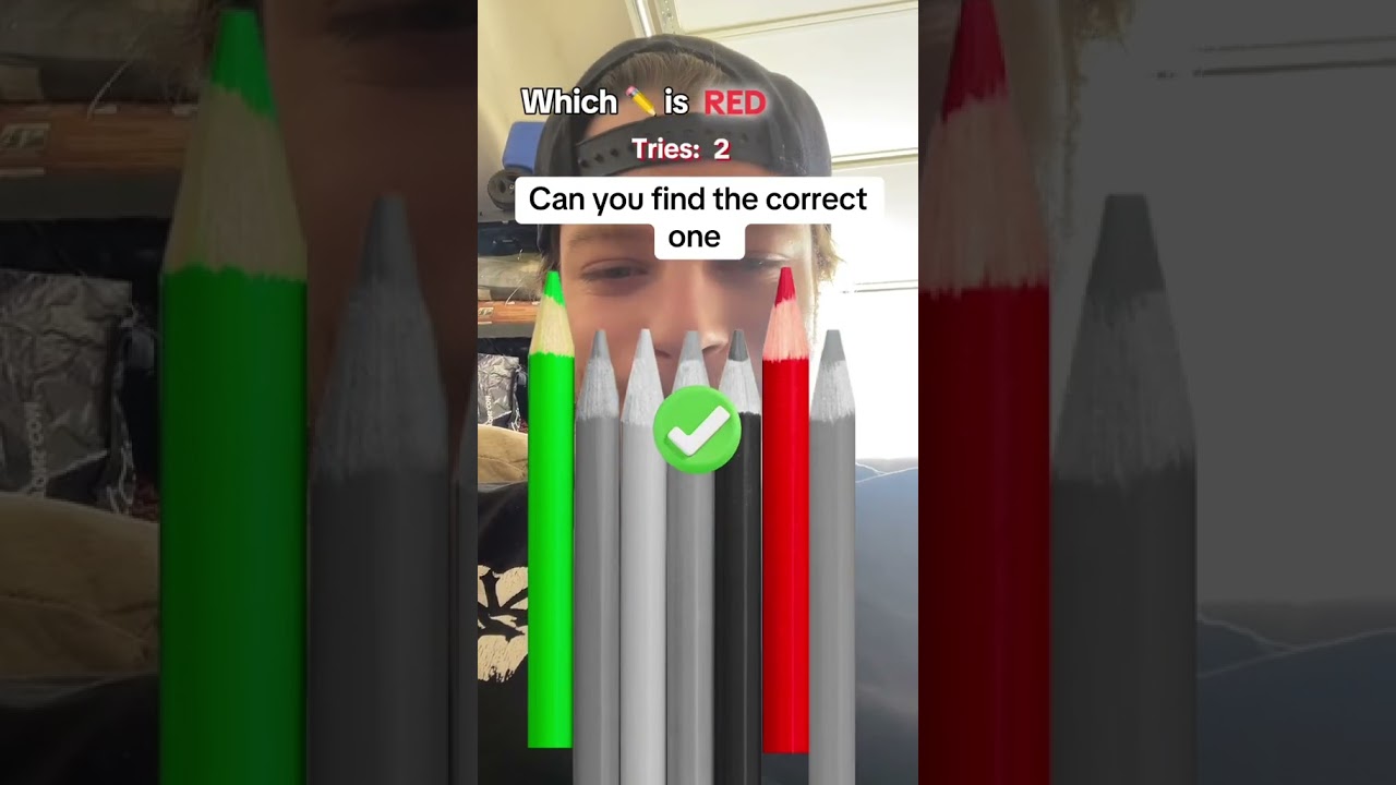 Can you find the correct one