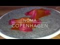 Noma (old), Copenhagen