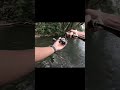 Nang ngisor wit witan 🤣 #mancing #mancingmania #hampalabesar