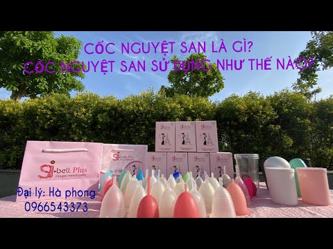 Video: CNS Là Gì