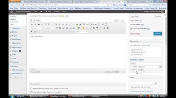 How to Post in WordPress : WordPress Tips for Success