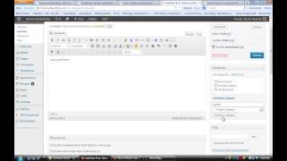 How to Post in WordPress : WordPress Tips for Success