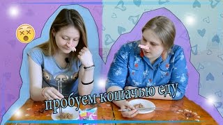 ПРОБУЕМ КОРМ ДЛЯ КОШЕК