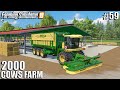 CUTTING FRESH GRASS WITH KRONE, Harvesting Canola| 2000 Cows Farm | Farming Simulator 19 | #59