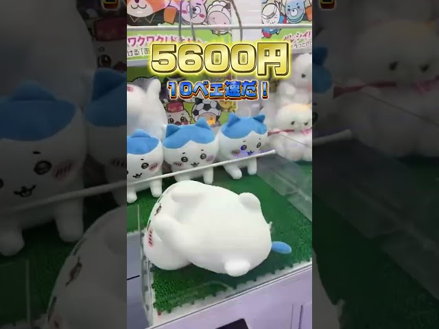 ちい闇に墜ちた人　 #クレーンゲーム #ゲームセンター#ちいかわ