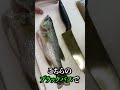 池のバス全部食べる！（バスモツ煮）