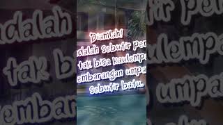 Rahasia Cintashortsvideo