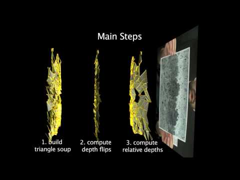 Non-Rigid Structure by Locally-Rigid Motion (CVPR 2010)