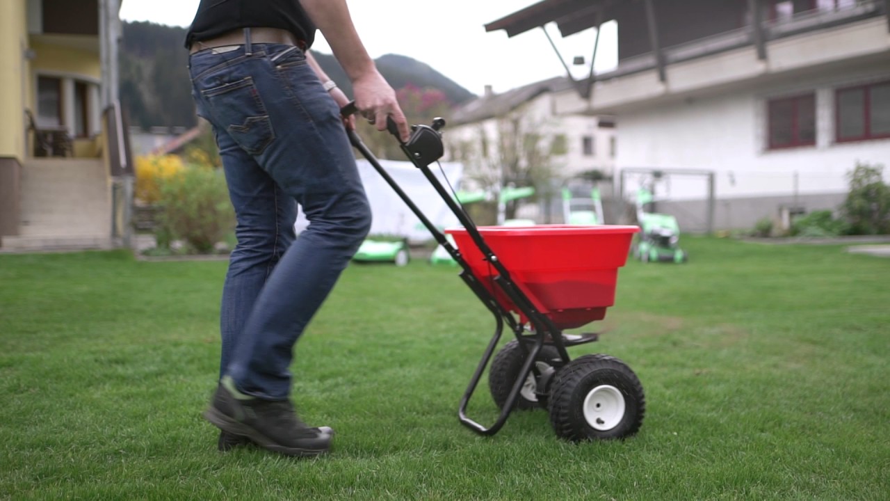 Den Rasen richtig düngen