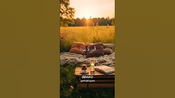 وتوكل على الحي الذي لا يموت #القارئ_عمر_بن_ضياء_الدين #اكسبلور #راحة_نفسية