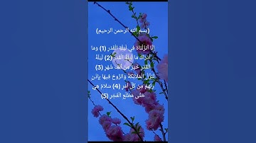 #سورة_القدر #اكسبلور #explore #رمضان_كريم#المصحف #ليلة_القدر