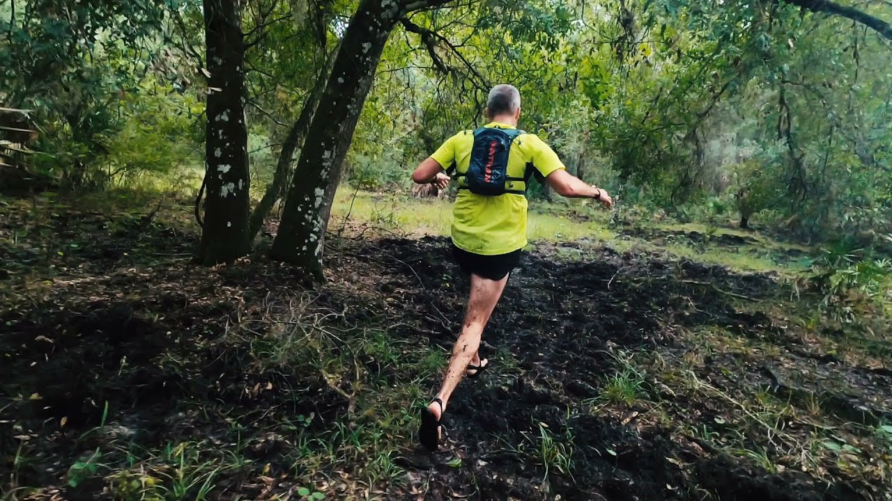 The Myakka-Luna Trail Running Incident