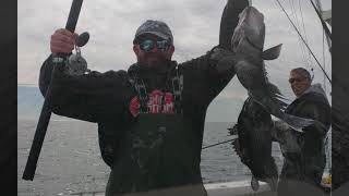 Black Sea Bass - Cape May NJ Fishin'n Fever IV