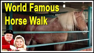 Dolly Parton's Stampede Horse Walk Branson Missouri A MUST See