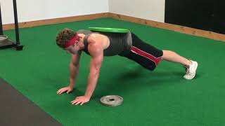 Weighted Plank Plate Pull Through