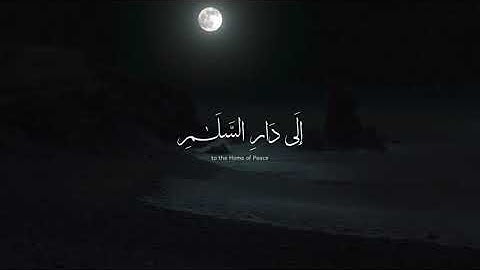 تلاوه هادئه والله يدعو إلى دار السلام 💓💓