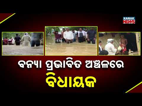 ବନ୍ୟା ପ୍ରଭାବିତ ଅଞ୍ଚଳରେ ବିଧାୟକ | Kendrapara Flood Update | Rajnagar MLA Visits Flood-Hit Areas