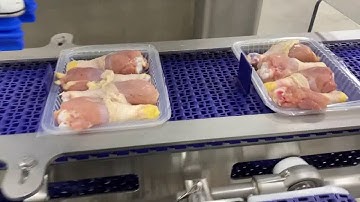 20279 BluePrint Automation (BPA) Spider 100v Tray Loading