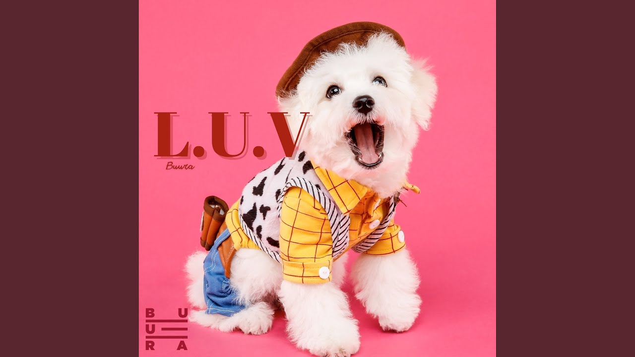 L U V YouTube