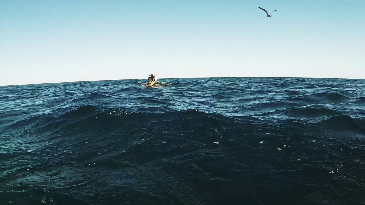 Spearfishing Carnac Island, Perth, Wa YouTube