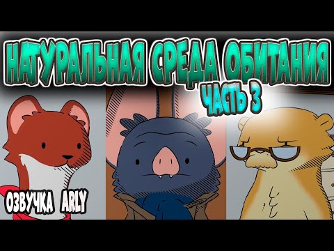 Видео: Натуральная среда обитания. ВСЕ ЧАСТИ 3