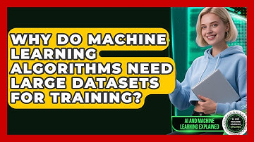 Why Do Machine Learning Algorithms Need Large Datasets for Training?
