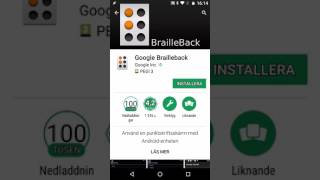 Installera Brailleback screenshot 2