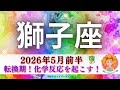 【しし座5月前半】転換期‼️化学反応を起こす🧬嬉しいGOサインも🌈