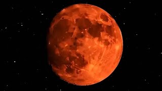 WENYE NYOTA YA PUNDA NG'OMBE MAPACHA NA KA'A MUSIOGOPE MUTAFANIKIWA 0750256814 sm 0742234554