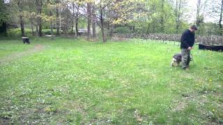 WP 20140512 001