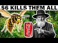 This $6 Wasp Trick Is Costing Exterminators BILLIONS