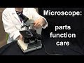 Mastering Microscope Mechanics and Functions