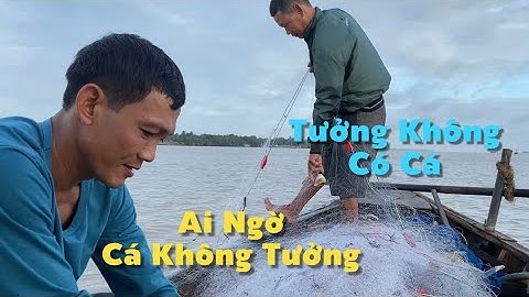 3h Sáng Đi Thả Lưới Tưởng Không Dính Mà Dính Không Tưởng Đã Thiệt | Cù Lao Dung Vlogs #779