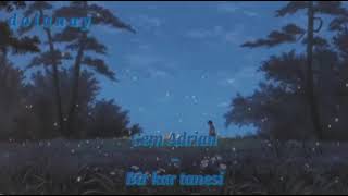 Cem Adrian - Bir Kar Tanesi Resimi