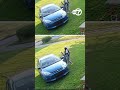 Amazon driver ruins freshly cut lawn to deliver a package