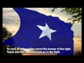 Bonnie Blue Flag