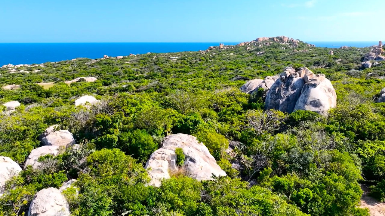 Độc đáo hệ sinh thái rừng khô hạn | Khởi động ngày mới 3.3.2026